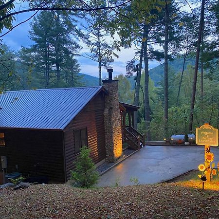 The Cozy Lazy Laurel With Year-Round Mountain Views, Hot Tub, Fire Pit Villa Cherry Log Ngoại thất bức ảnh