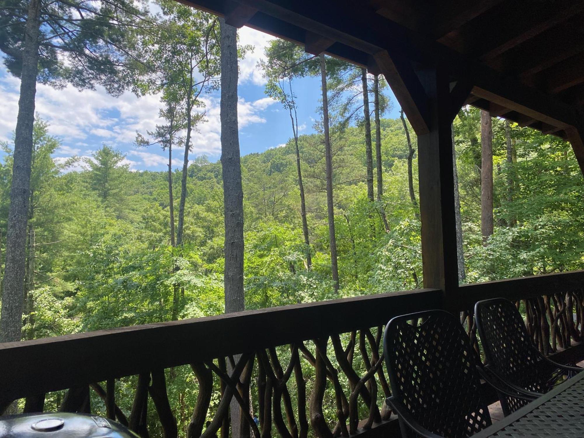 The Cozy Lazy Laurel With Year-Round Mountain Views, Hot Tub, Fire Pit Villa Cherry Log Ngoại thất bức ảnh