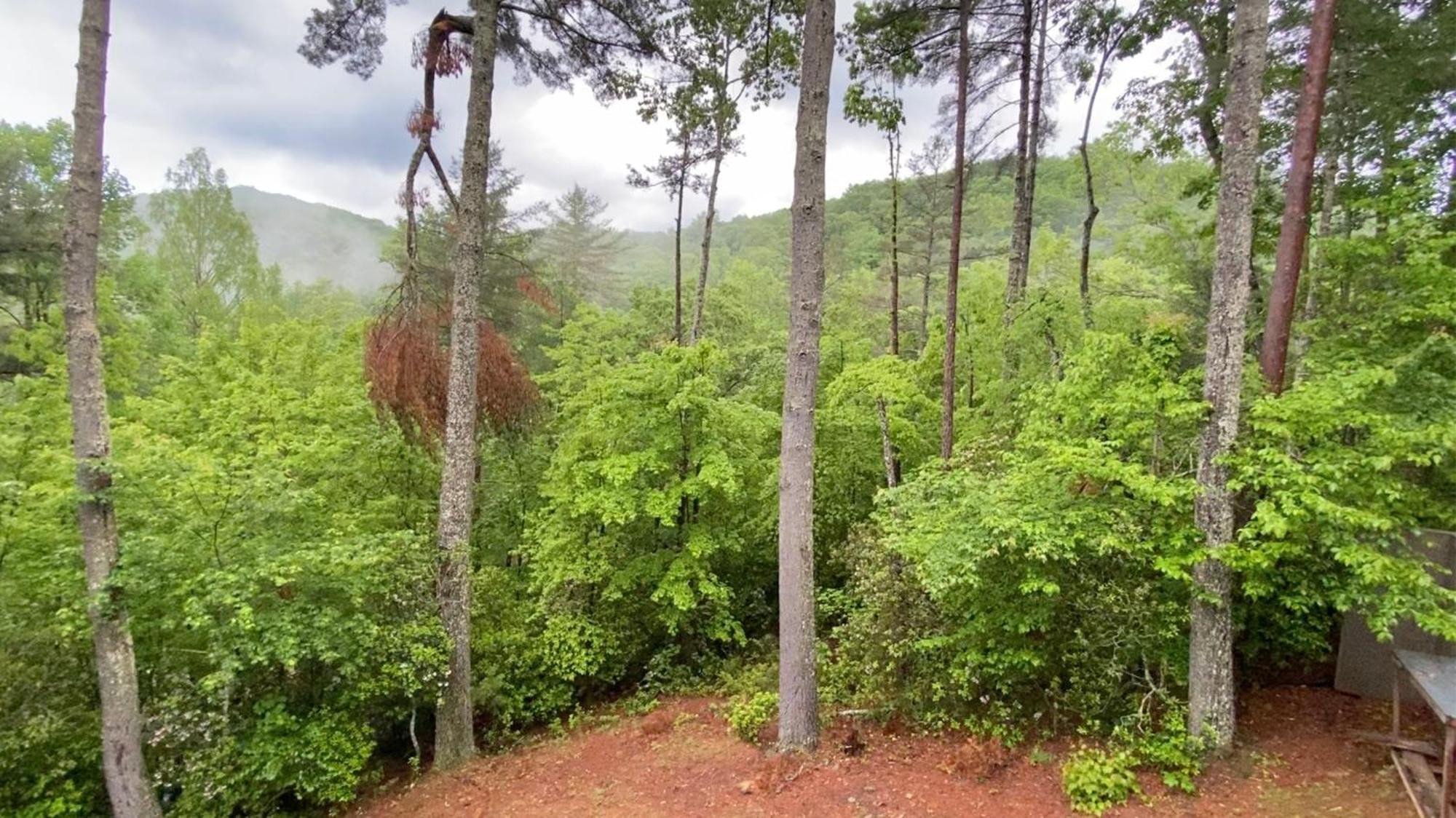 The Cozy Lazy Laurel With Year-Round Mountain Views, Hot Tub, Fire Pit Villa Cherry Log Ngoại thất bức ảnh